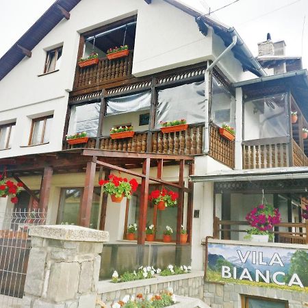 Bianca House Hotel Buşteni Exterior foto