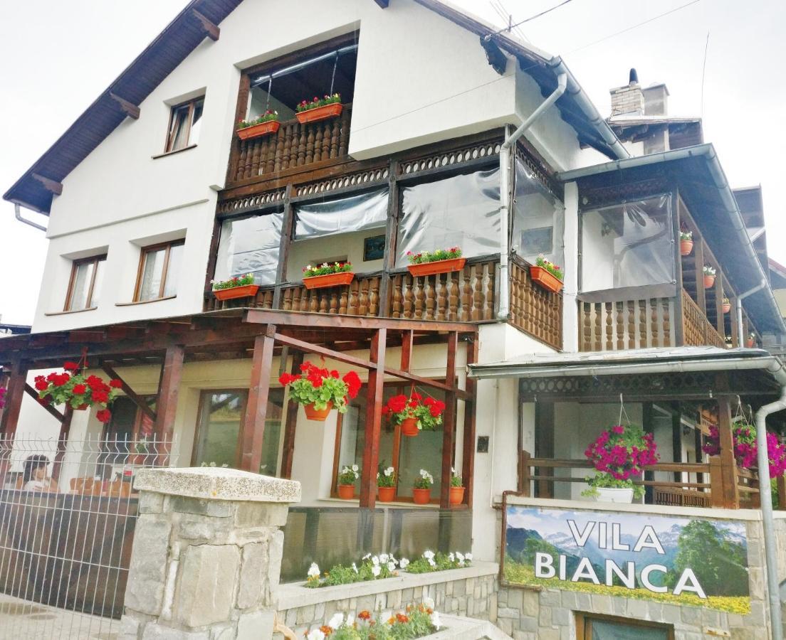 Bianca House Hotel Buşteni Exterior foto