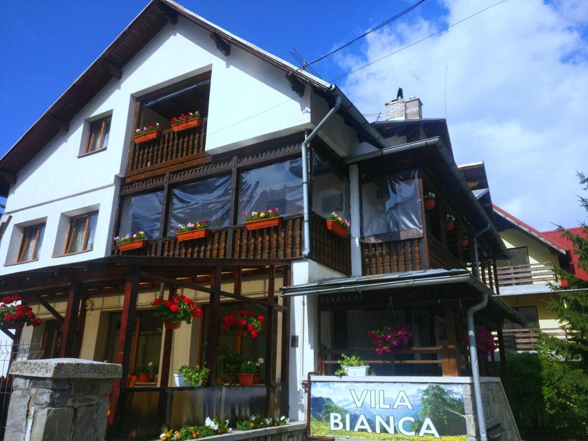 Bianca House Hotel Buşteni Exterior foto